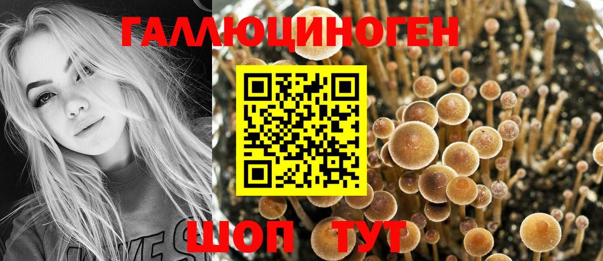 Галлюциногенные грибы Cubensis Елизово