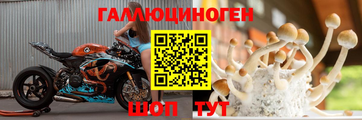 Галлюциногенные грибы Psilocybe  Вход с VPN  Елизово  Псилоцибиновые грибы GOLDEN TEACHER 